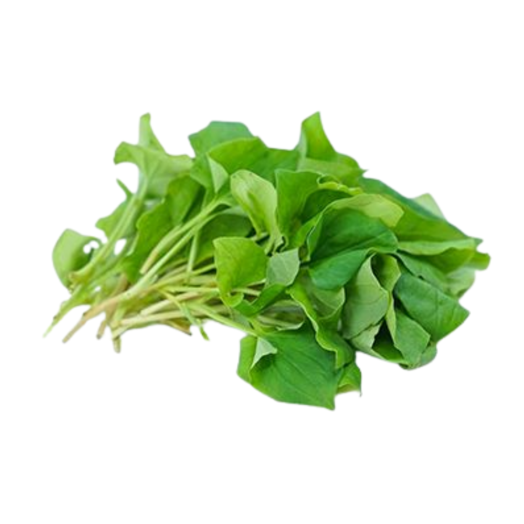  Rau Diếp Cá Hữu Cơ ( Gói 50g ) - VIỆT HÀ (I0024490) 