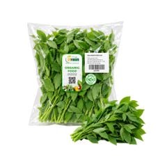Rau ngót hữu cơ Ctfarm 300 g