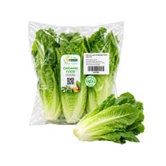 Rau xà lách romaine xanh hữu cơ Ctfarm 250 g