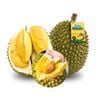 Sầu riêng Musang King