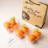  Túi Trái Cây Sạch 01 