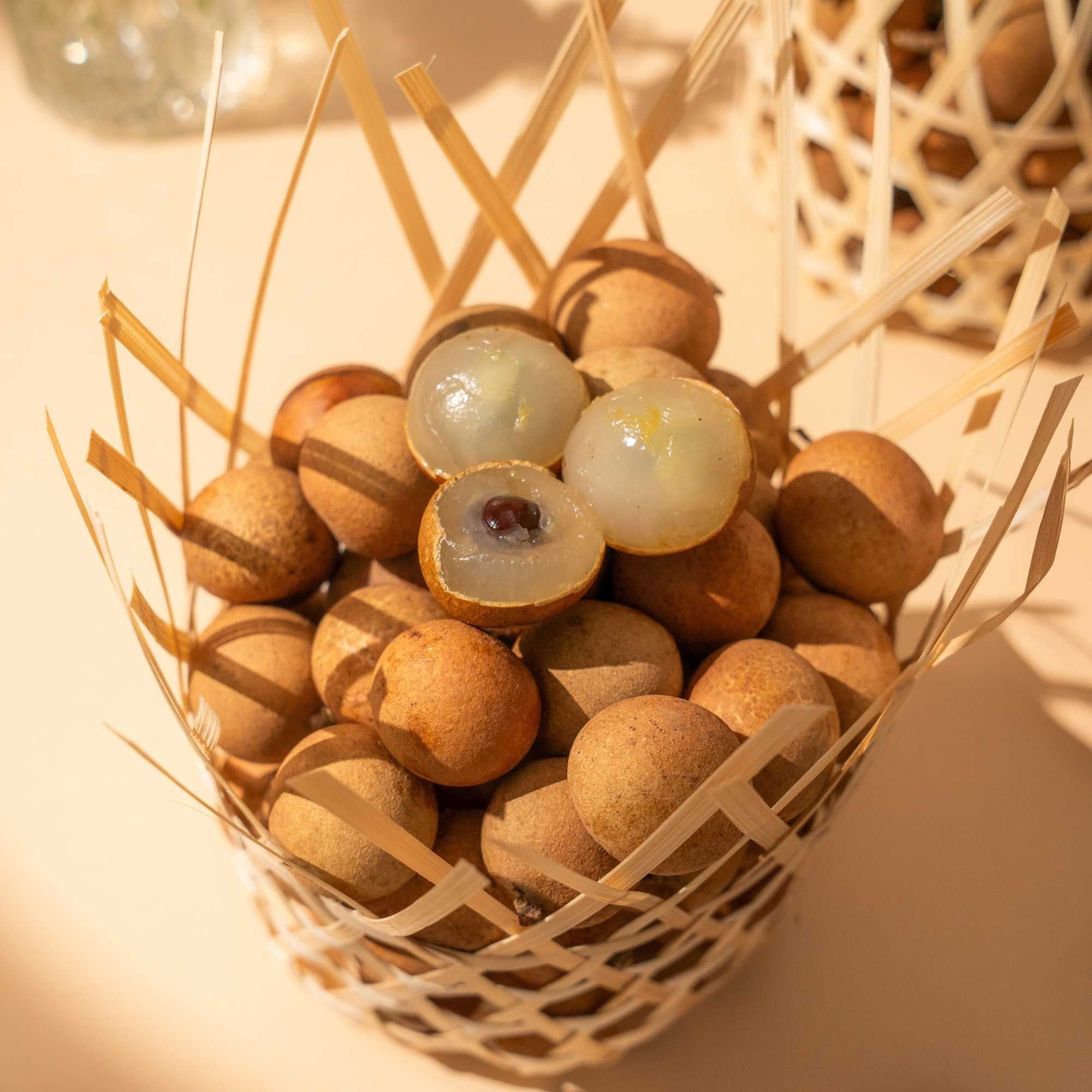  Túi Tre Đan Nhãn Bắp Cãi Vũng Tàu 