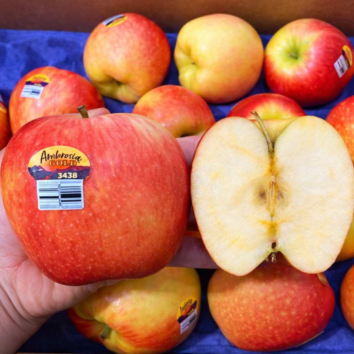  Táo Ambrosia Mỹ size 70 - 80 