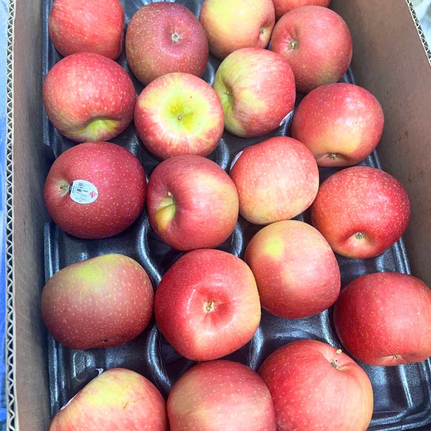  Táo Ever Crisp Mỹ size 80 - 88 