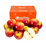  Táo kẹo Candine Pháp size 72 - 88 