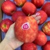 Táo Pink Lady New Zealand size 80 - 100