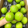 Táo xanh Granny Smith Mỹ size 90 - 100