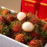  Thùng Chôm Chôm Giống Thái Lan 1,5Kg 