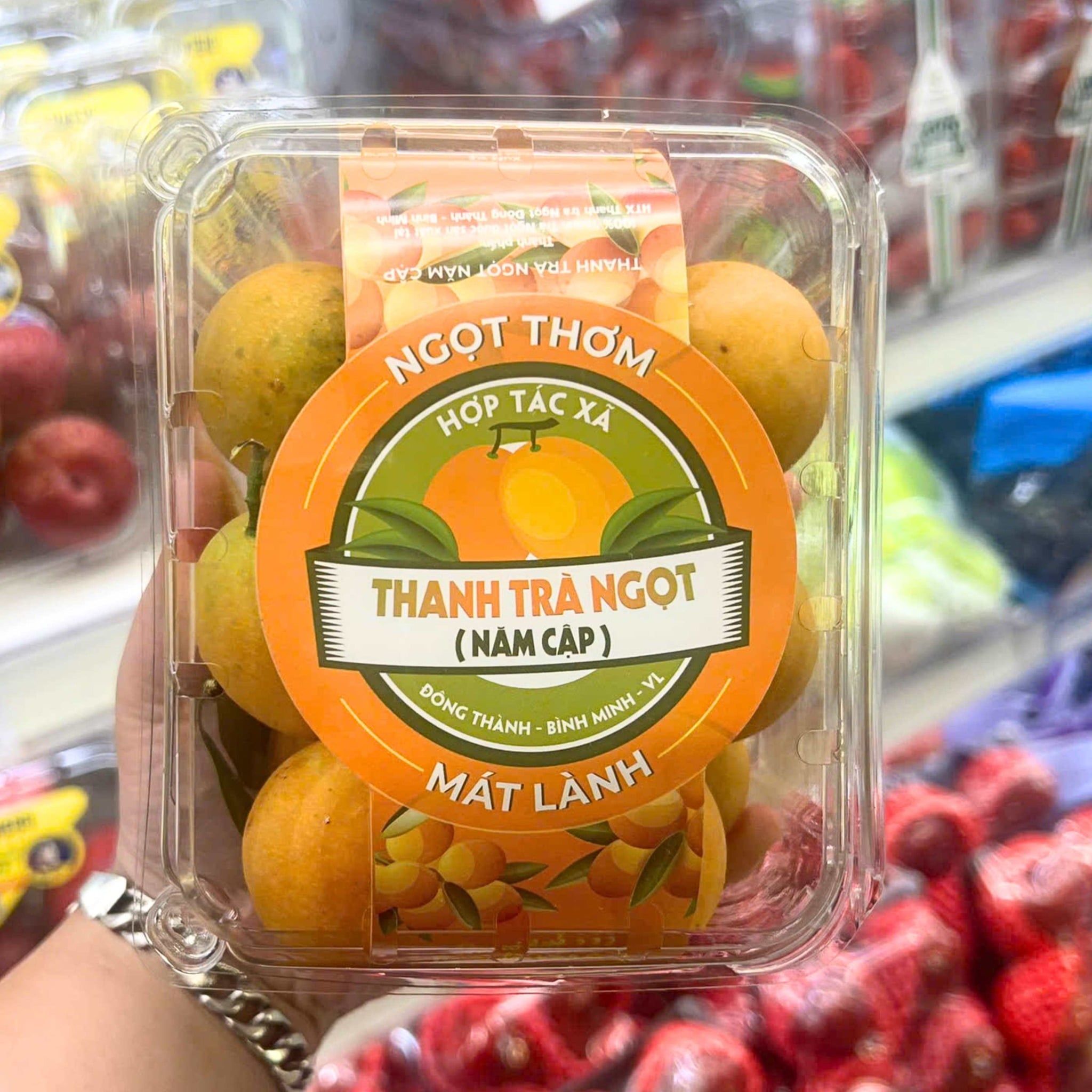  Thanh trà ngọt Vietgap Năm Cập 500G/Hộp 