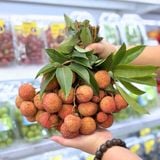  Vải thiều Bắc Giang 
