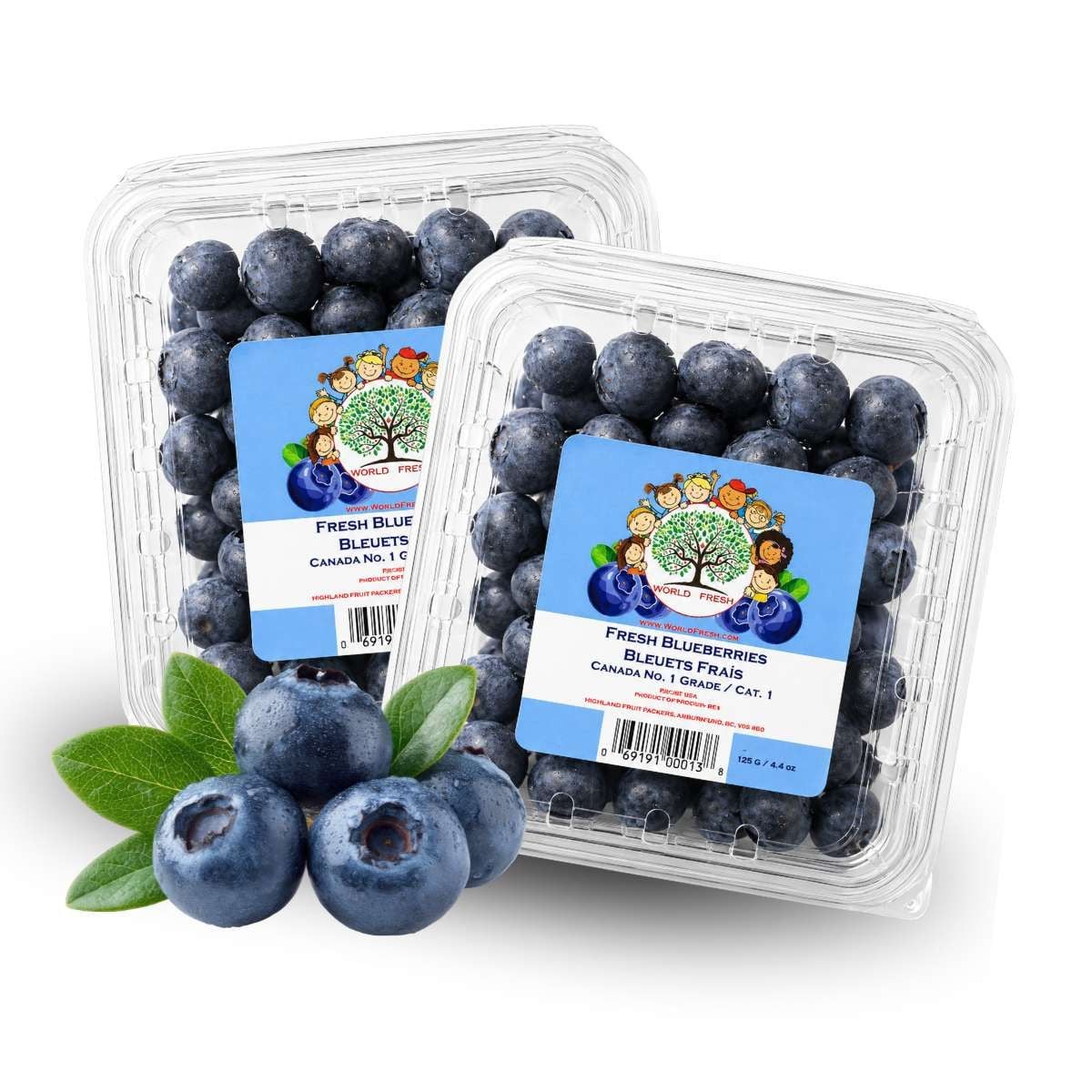  Việt quất Canada size Regular - 125G/Hộp (I0017638) 