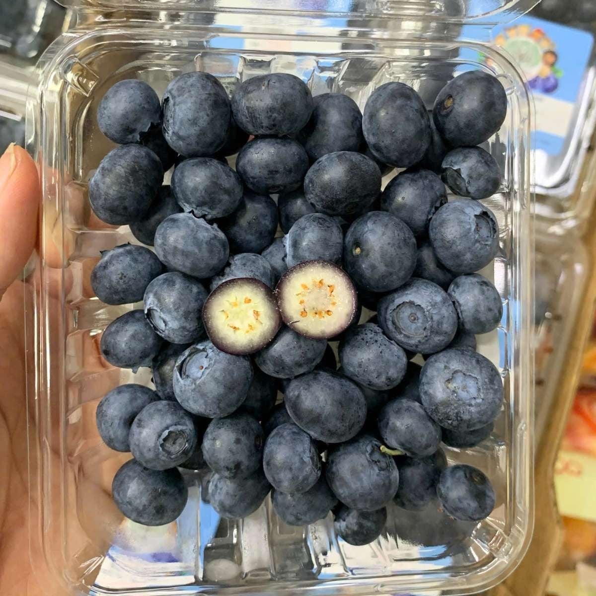  Việt quất Canada size Regular - 125G/Hộp (I0017638) 
