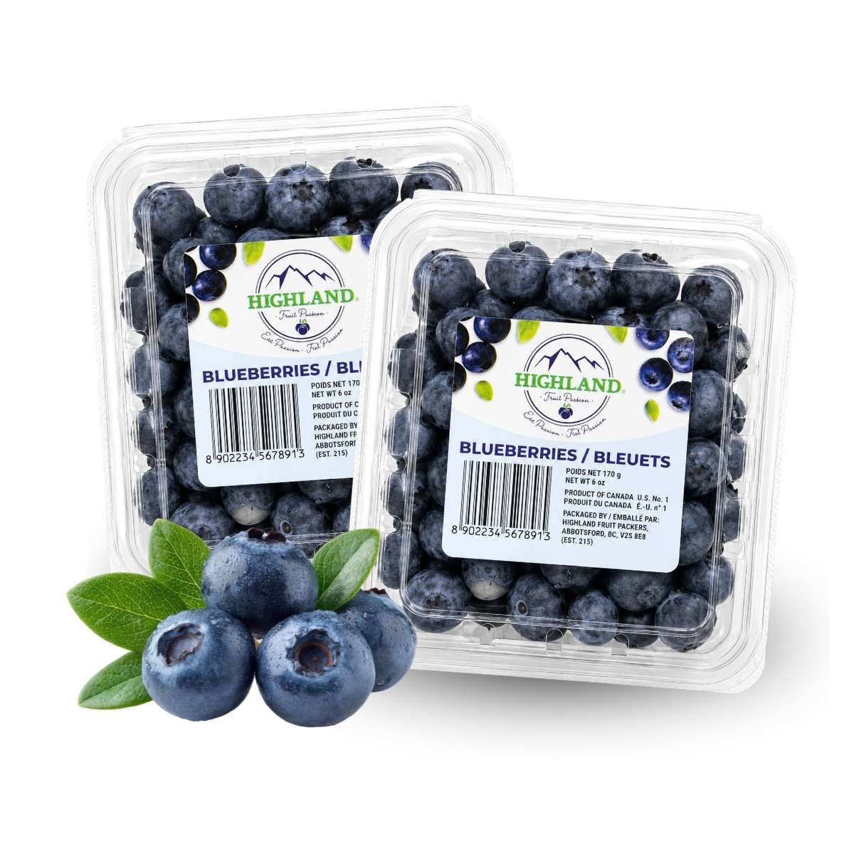  Việt quất Canada size Regular 170g 
