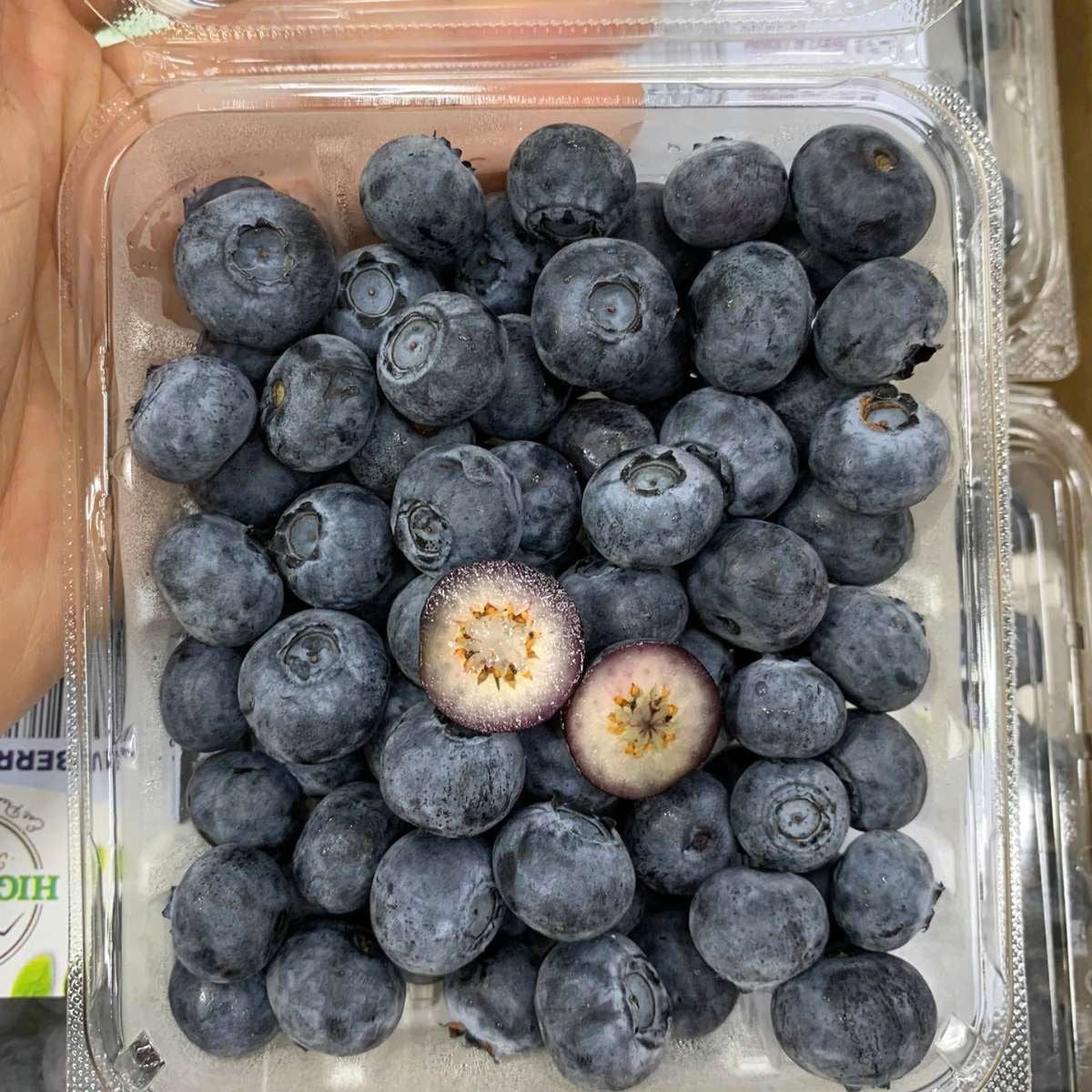  Việt quất Canada size Regular 170g 