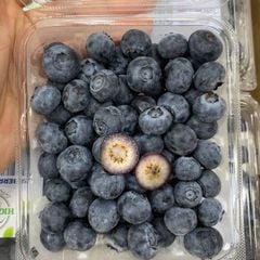 Việt quất Canada size Regular 170 g