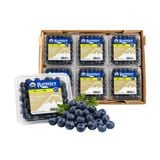  Việt quất hữu cơ Rainier Mỹ 170g 