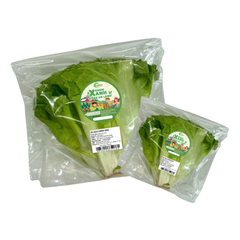 Xà Lách Carol VietGAP 300G (Gói) - TRƯỜNG PHÁT (I0025029)