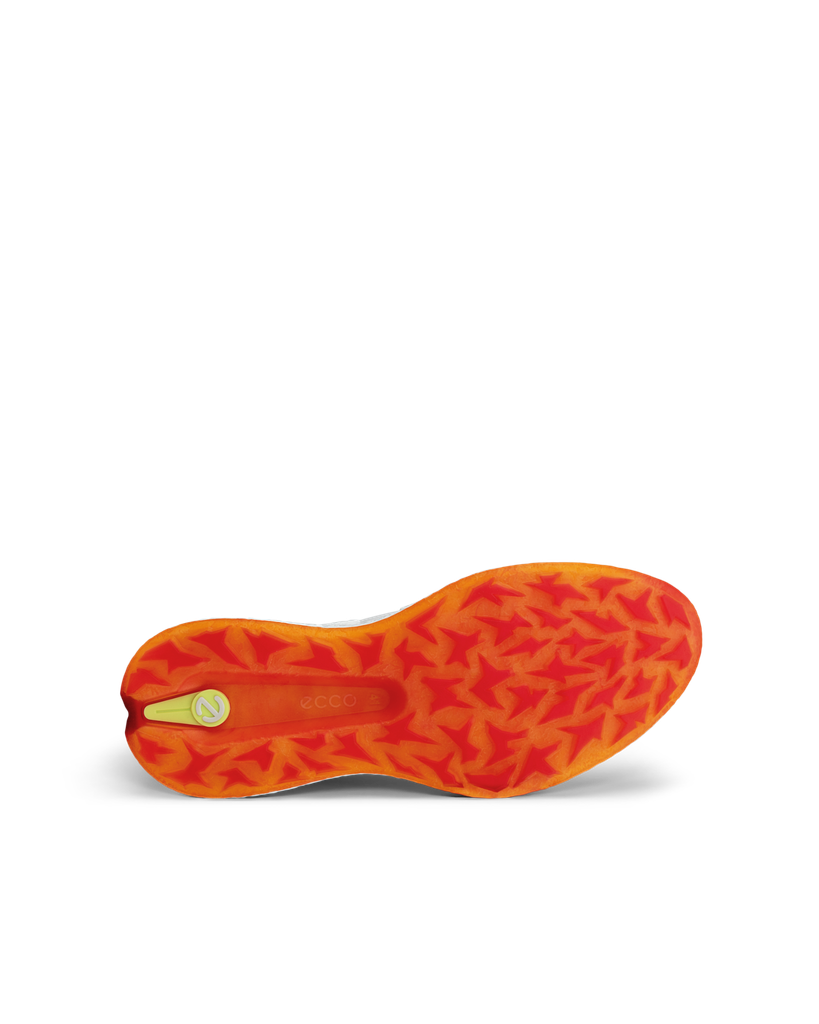 ECCO W GOLF BIOM H5