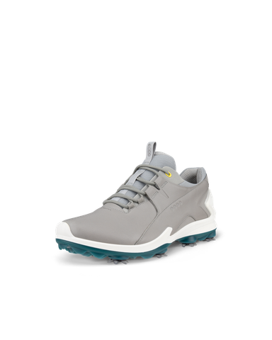 ECCO M Golf Biom Tour
