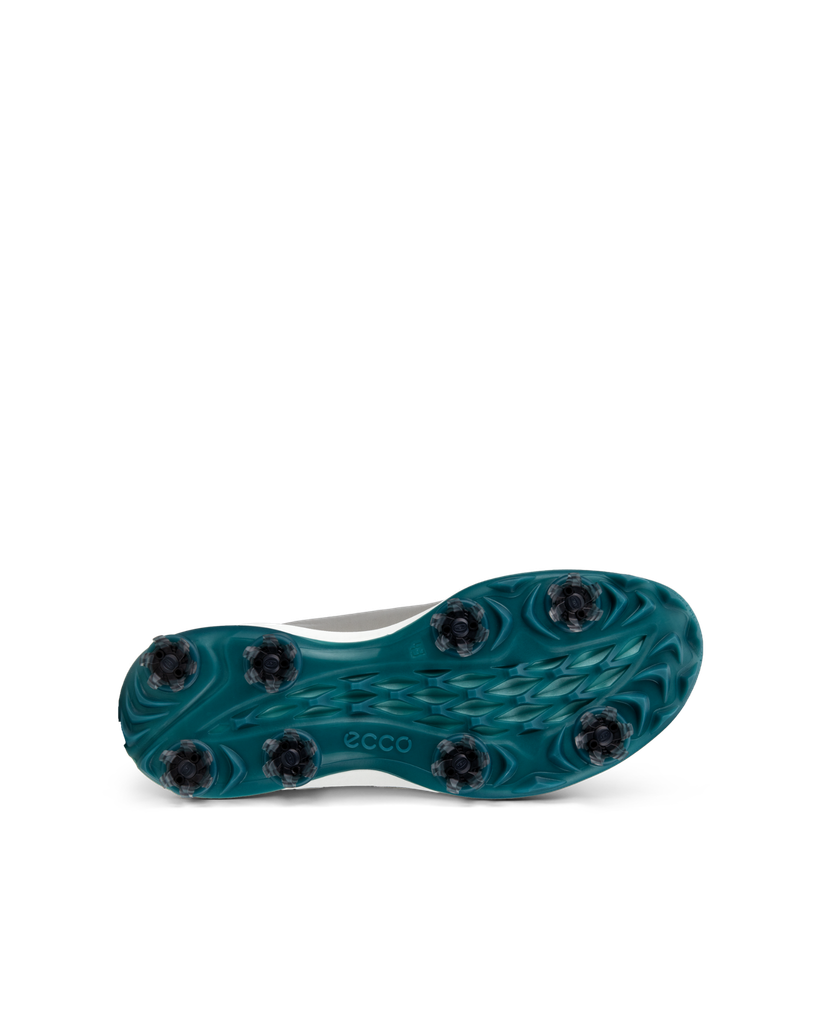 ECCO M Golf Biom Tour