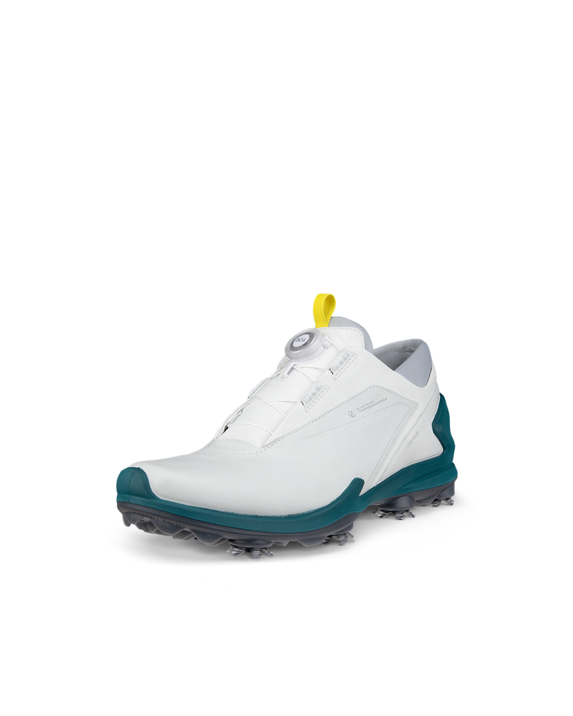 ECCO M Golf Biom Tour