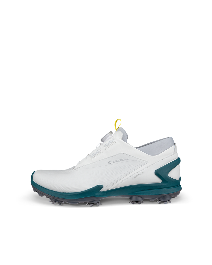 ECCO M Golf Biom Tour