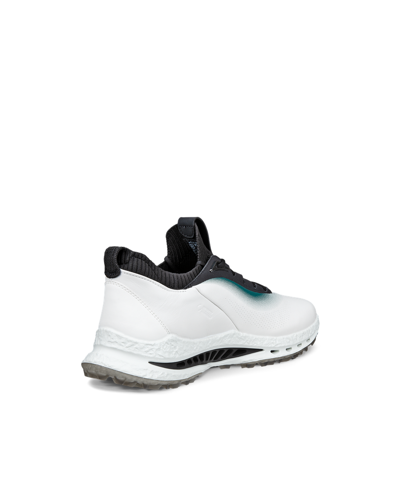 ECCO M Golf BIOM C5