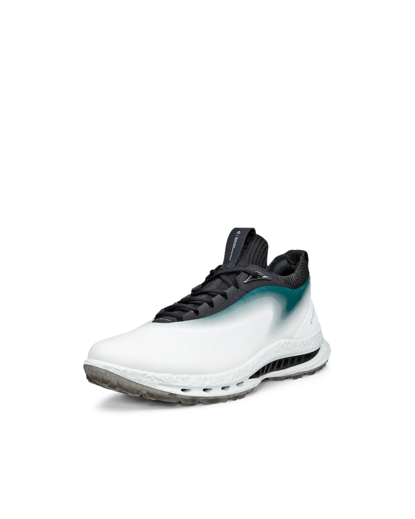 ECCO M Golf BIOM C5