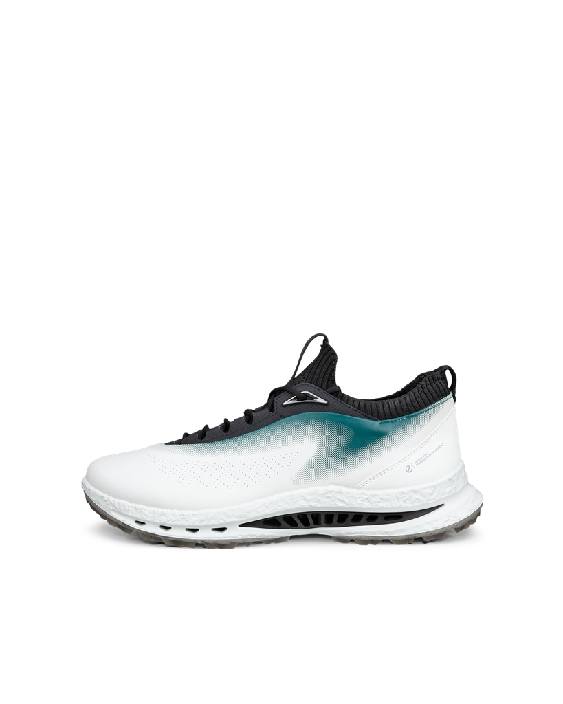 ECCO M Golf BIOM C5