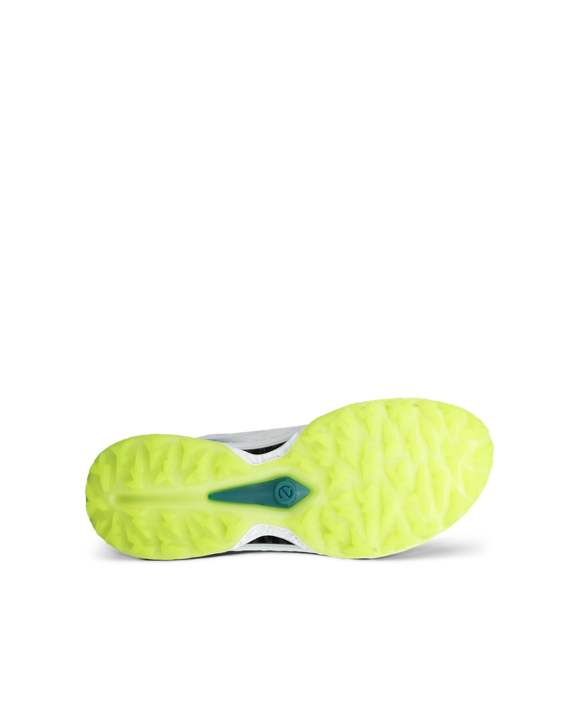 ECCO M Golf Biom C5 Boa