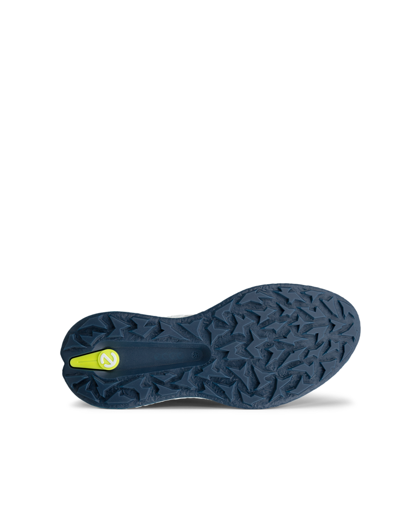 ECCO M Golf Biom H5 White