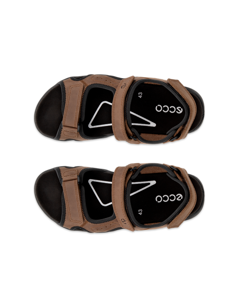 Giày sandal nam ECCO Hike M màu Nâu 53230402482 mùa 261 - phía trên