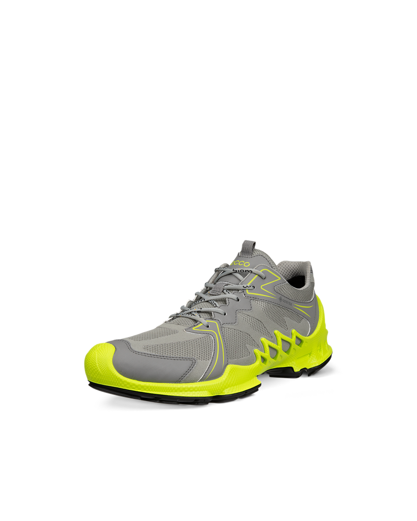 ECCO Biom Aex M