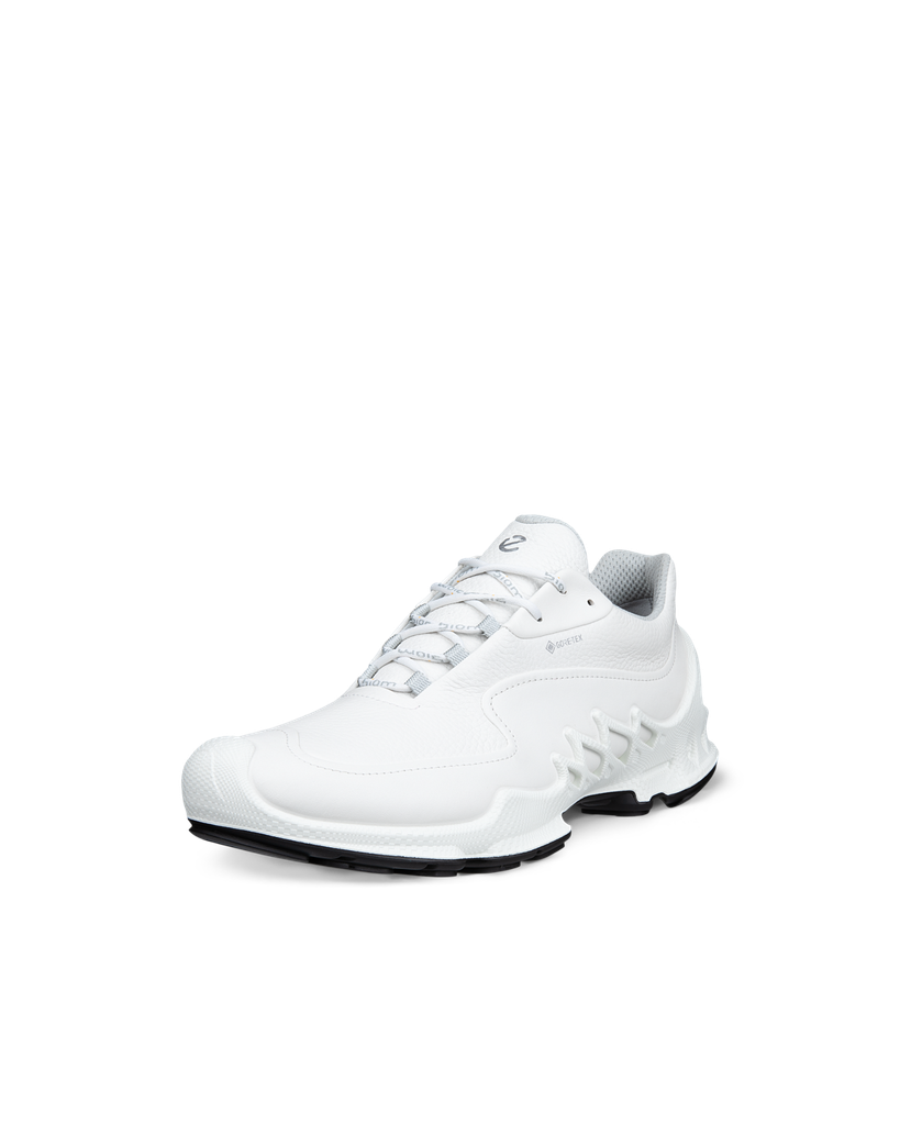 ECCO Biom Aex M