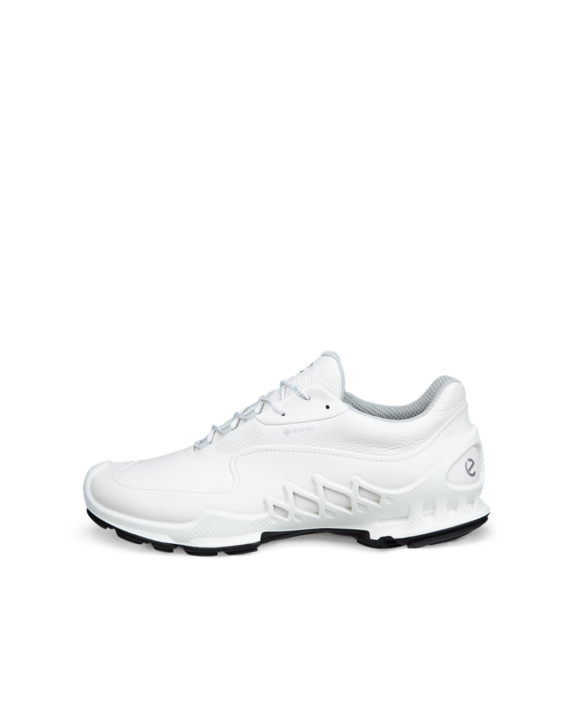 ECCO Biom Aex M