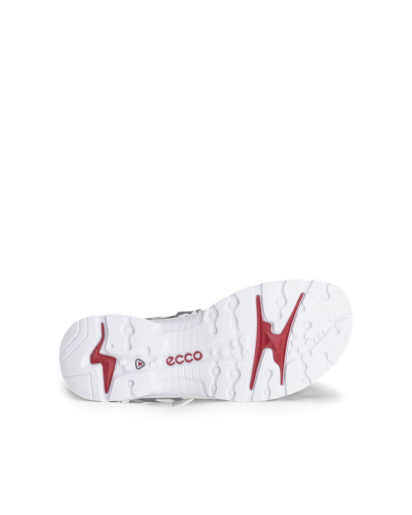 ECCO Offroad