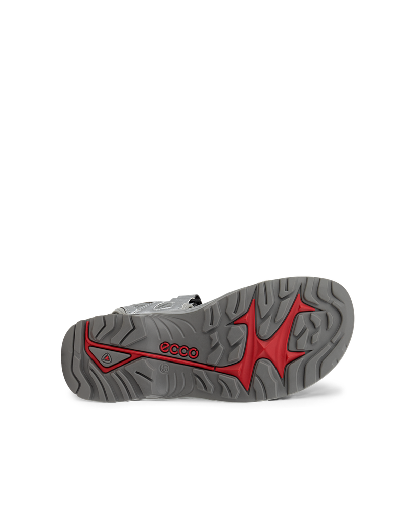 ECCO Offroad