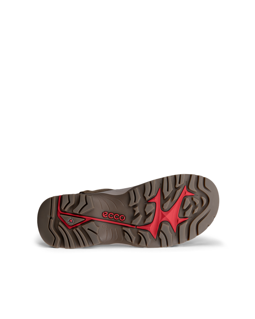 ECCO Offroad M