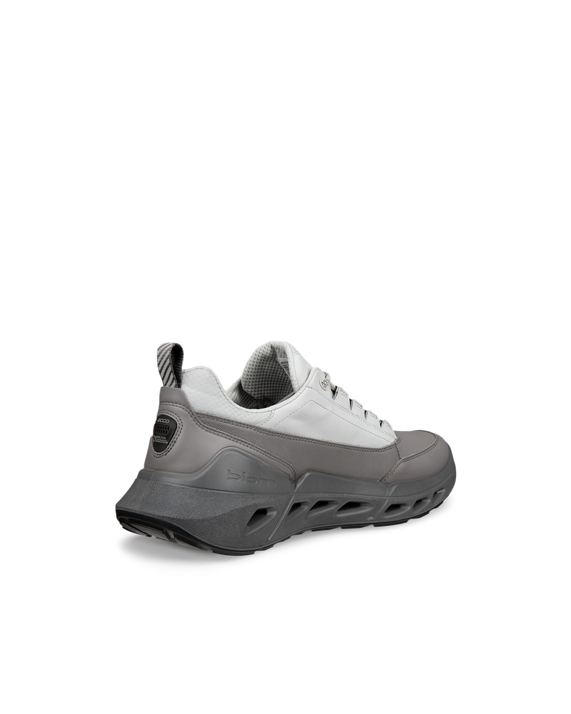 ECCO Biom 720 M