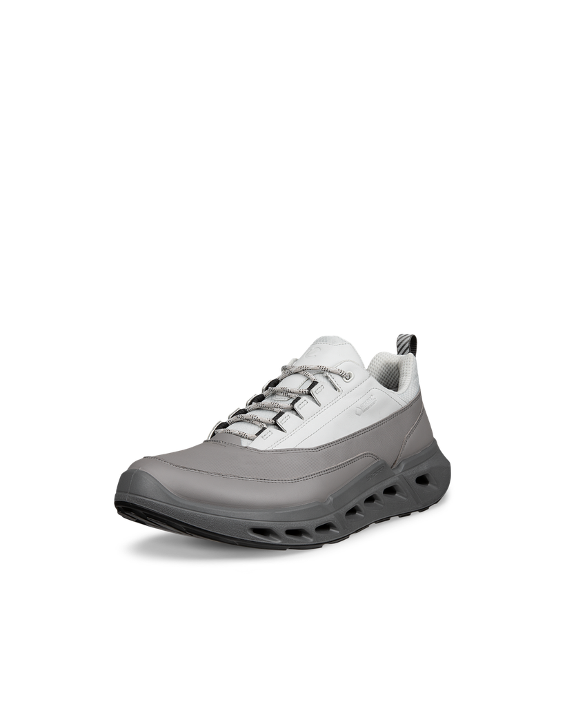 ECCO Biom 720 M