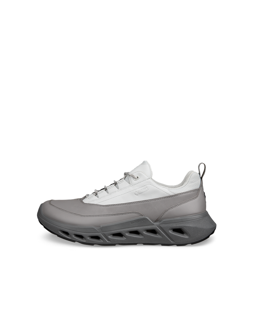 ECCO Biom 720 M