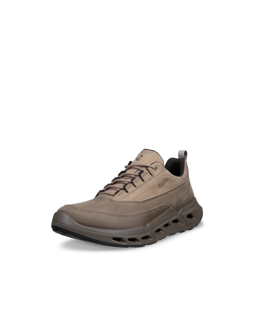 ECCO Biom 720 M