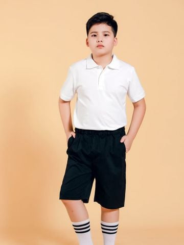 Áo Thun Polo Bé Trai Lớn ( 140-180)