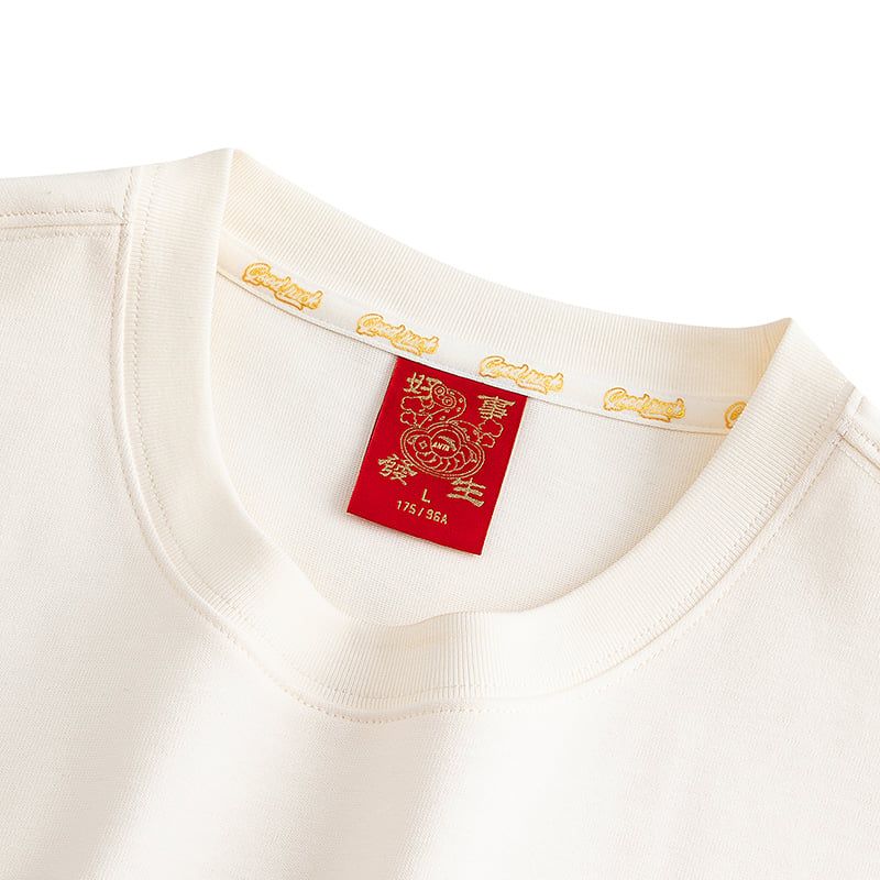 Áo Phông Thời Trang Thể Thao Nam Anta 1526A8105-1