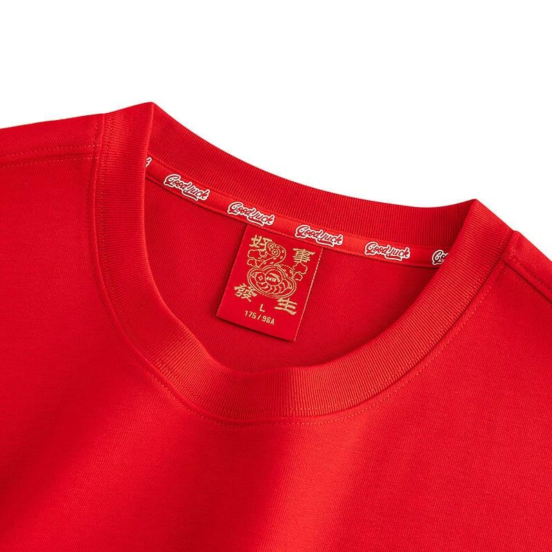 Áo Phông Thời Trang Thể Thao Nam Anta 1526A8105-2