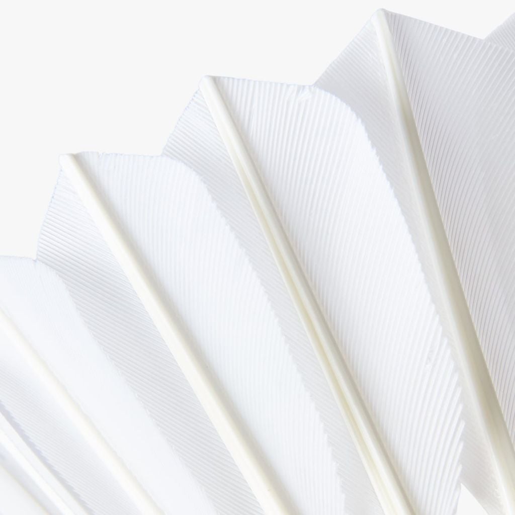 Hộp 12 Quả Cầu Lông ANTA 1826115632-2