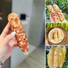 ngo tim luoc dien bien