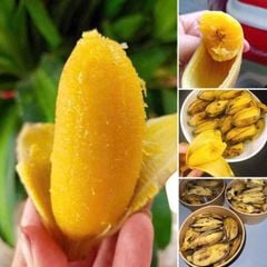 9 chuoi sap nghe luoc san