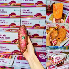 khoai mat song xuat khau quy trong