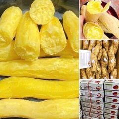 khoai lang sua song